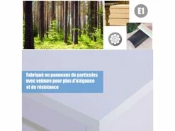 Bureau Multi-rangement Elina Blanc -DECO Ventes meuble bureau 19170541