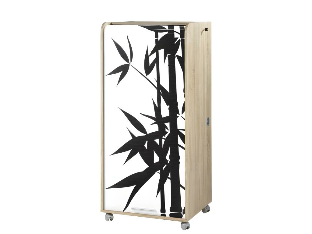 Armoire Informatique Mobile Chêne - Coloris: Bambous 912 3 Armoire Informatique Mobile Chêne - Coloris: Bambous 912