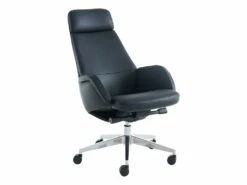 Fauteuil De Direction Professionnel - Cuir Et Simili - Noir - RUIVALA -DECO Ventes siege de bureau 1200195